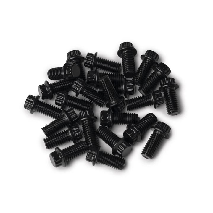 12 Point Lip Bolt Kit