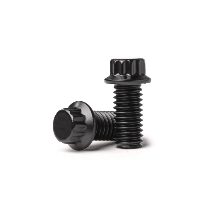 12 Point Lip Bolt Kit