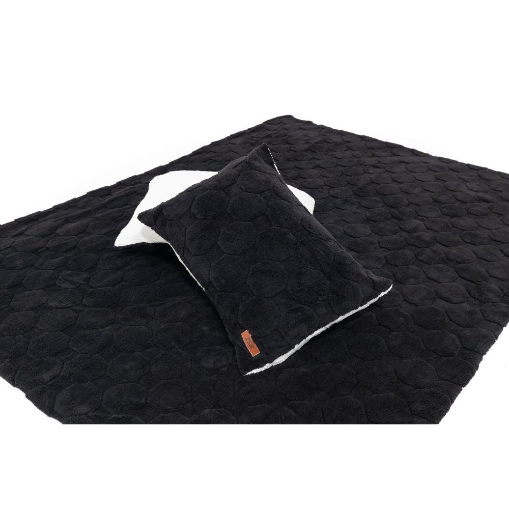 Cloud Comforter & Pillow Case Set