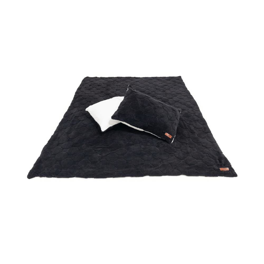 Cloud Comforter & Pillow Case Set