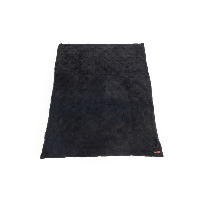 Cloud Comforter & Pillow Case Set
