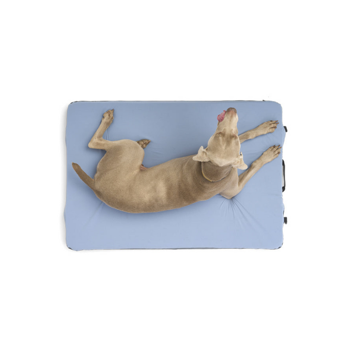 HEST Dog Bed