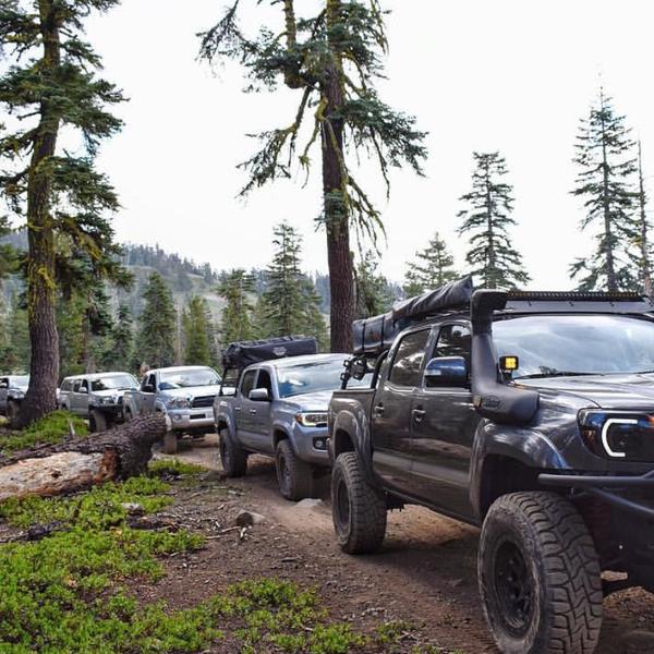 2012-2015 Toyota Tacoma Halo Projector-Light Bar DRL